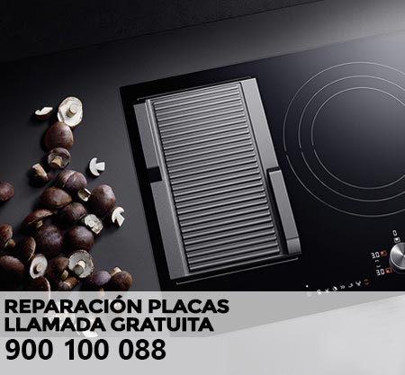 Reparación averías placa de cocción New pol